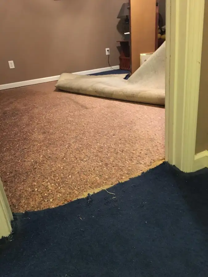 Carpet pad removal revealing water damage during Drying & Dehumidification in Belgrade