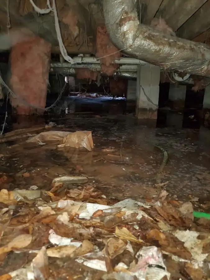Crawl space flood assessment for Leak Detection & Repair in Belgrade