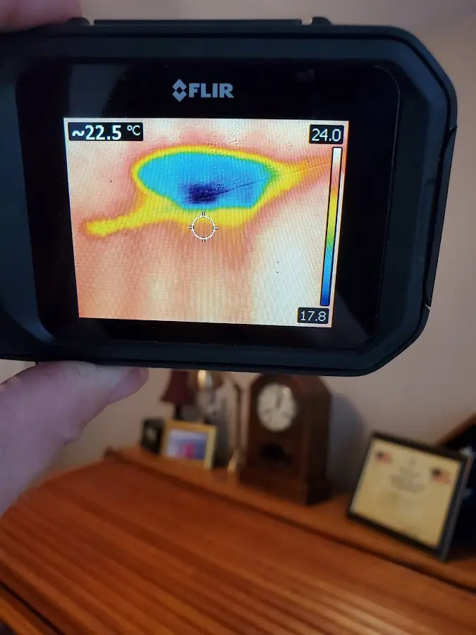 Thermal imaging inspection for water damage in Belgrade