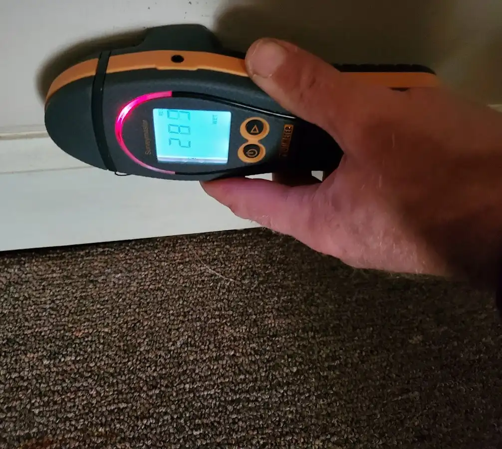 Moisture detection at baseboard during Burst Pipe Cleanup in Belgrade